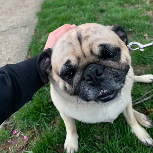 Meet your Posher, Joelle - Picture 1 of 1